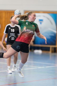 Bild 229 - wBJ HSG Kremperheide/Muensterdorf - HSG Joerl-Doppeleiche Vioel : Ergebnis: 34:23